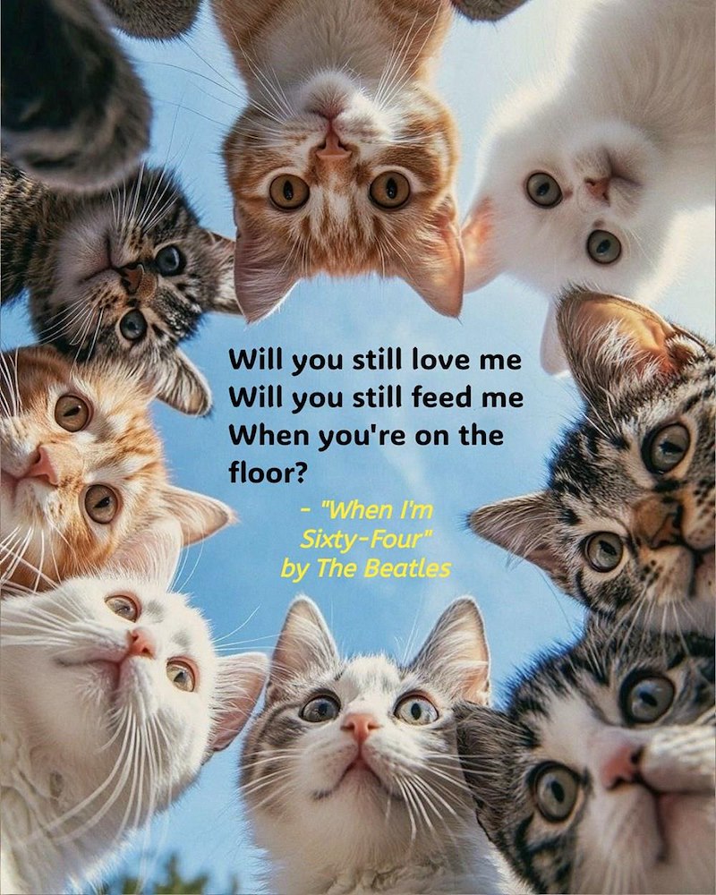 Will you still love me Will you still feed me When you're on the floor? - "When I'm Sixty-Four" by The Beatles
