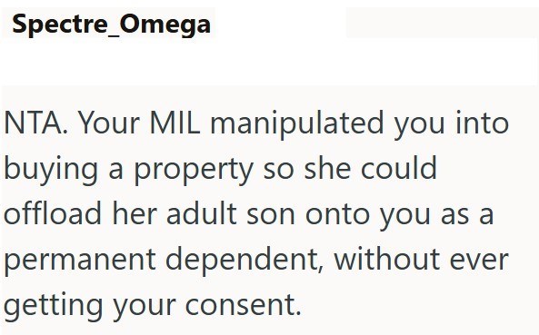 Spectre Omega NTA. Your MIL manipulated you into buying a property so she could offload her adult son onto you as a permanent dependent, without ever getting your consent.