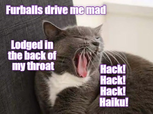 Furballs drive me mad Lodged in the back of my throat Hack! Hack! Hack! Haiku!