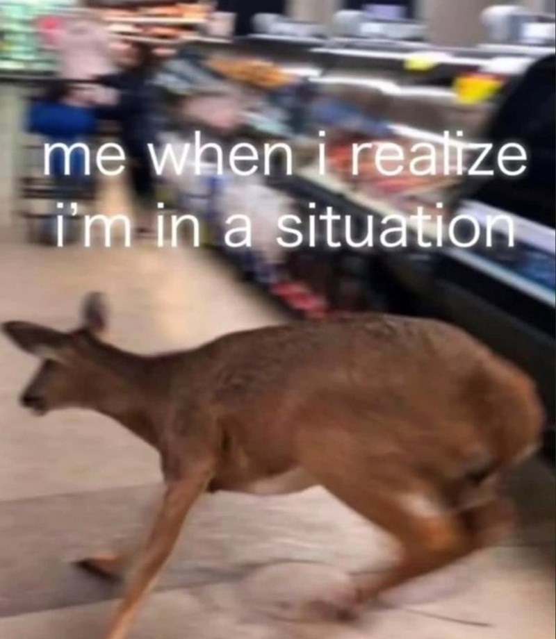 me when i realize I'm in a situation