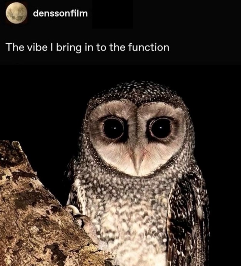 denssonfilm The vibe I bring in to the function