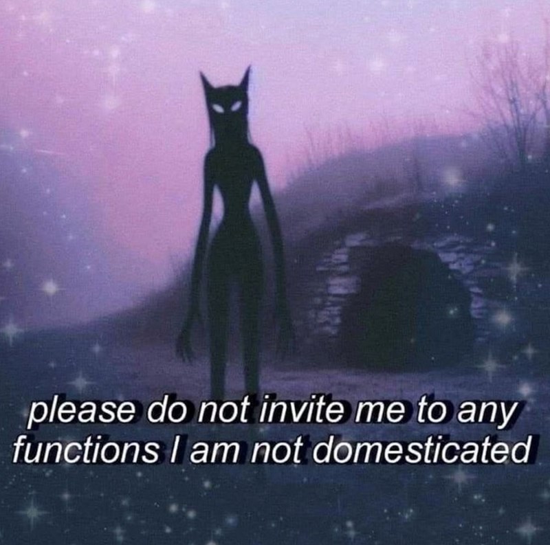 please do not invite me to any functions I am not domesticated