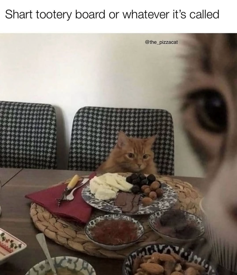Shart tootery board or whatever it's called @the_pizzacat