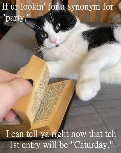 If ur lookin' for a synonym for "party," I can tell ya right now that teh 1st entry will be "Caturday."