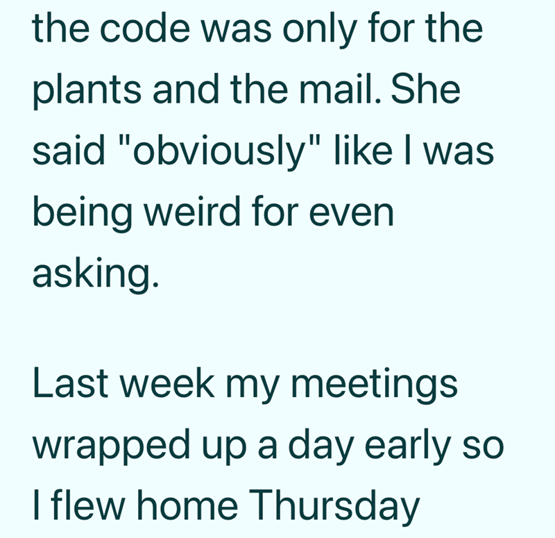 the code was only for the plants and the mail. She said "obviously" like I was being weird for even asking. Last week my meetings wrapped up a day early so I flew home Thursday