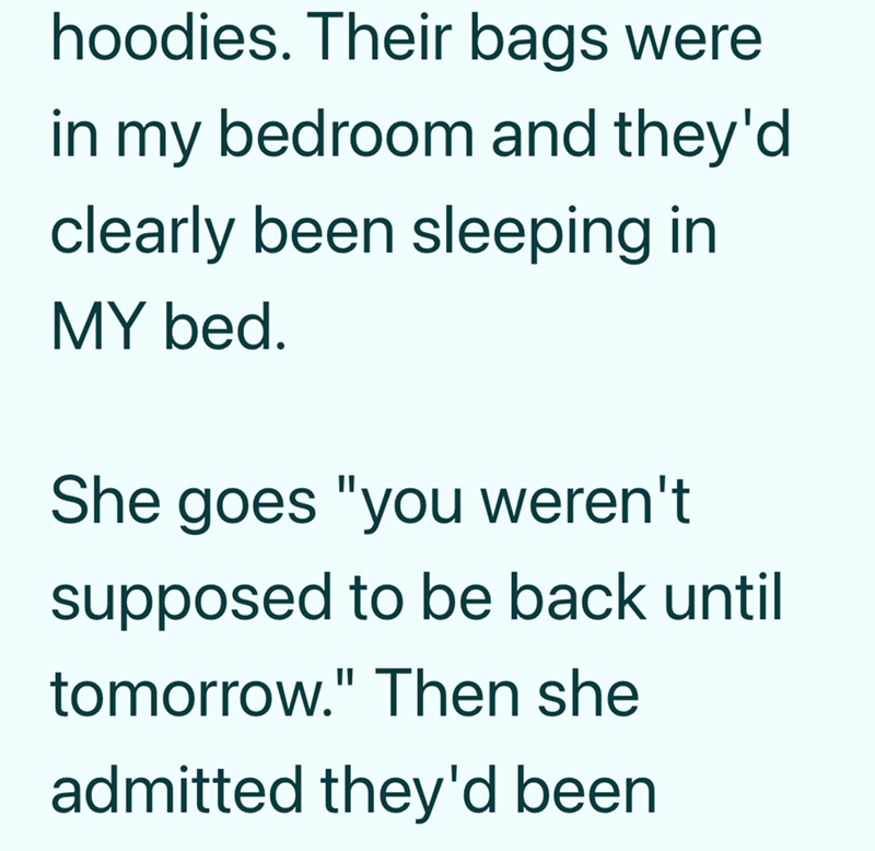 hoodies. Their bags were in my bedroom and they'd clearly been sleeping in MY bed. She goes "you weren't supposed to be back until tomorrow." Then she admitted they'd been