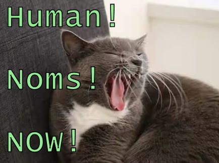 Human! Noms! NOW!