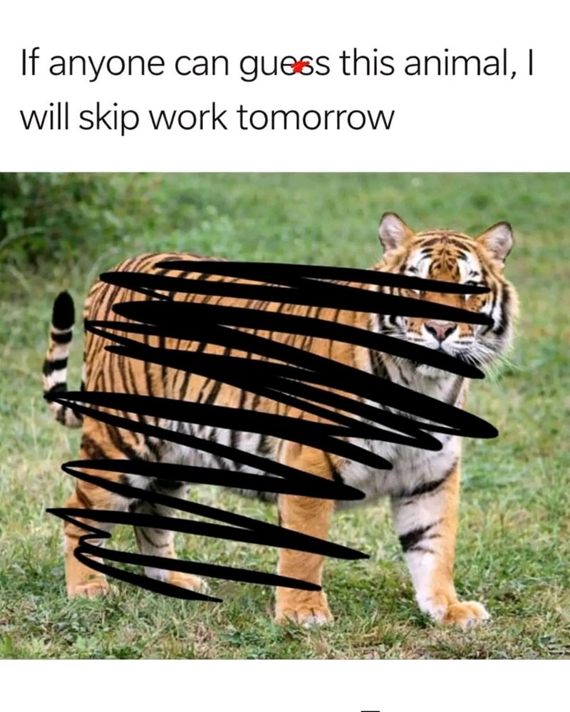 If anyone can guess this animal, I will skip work tomorrow