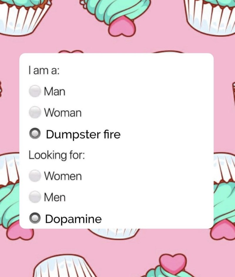 { I am a: Man Woman Dumpster fire Looking for: Women Men Dopamine