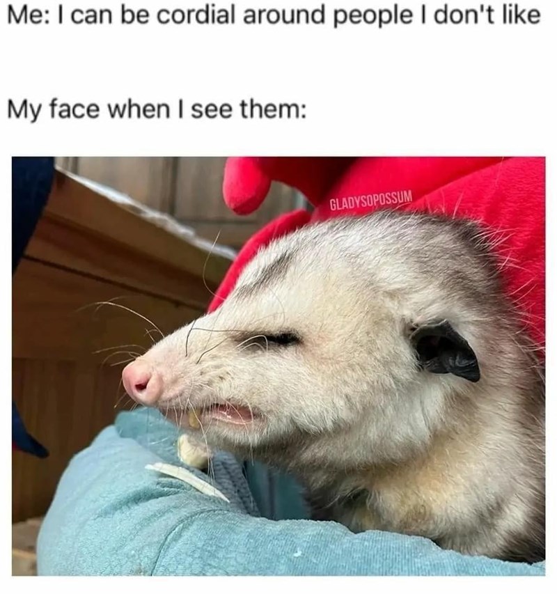 Me: I can be cordial around people I don't like My face when I see them: GLADYSOPOSSUM