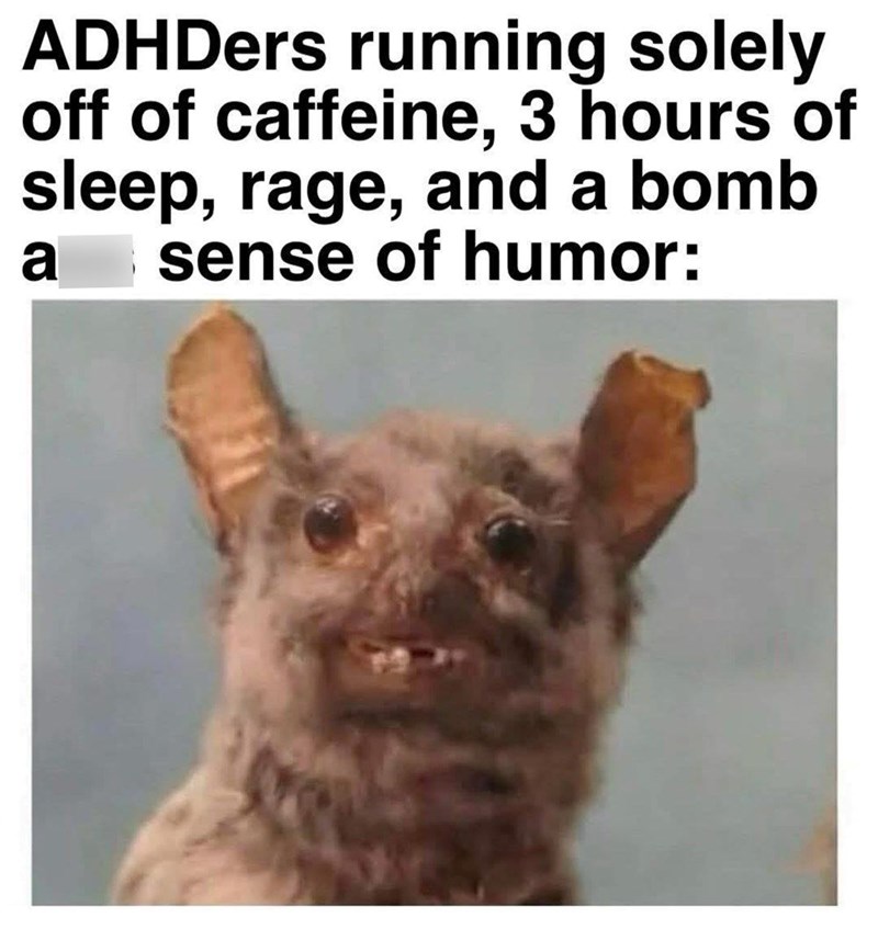 ADHDers running solely off of caffeine, 3 hours of sleep, rage, and a bomb sense of humor: a
