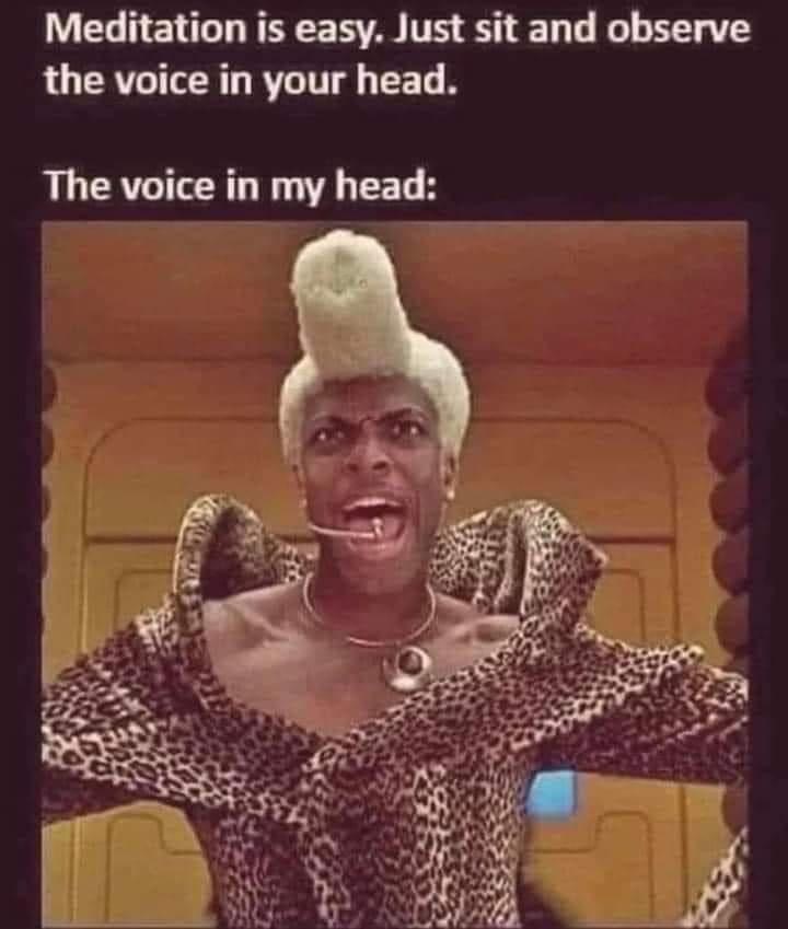 Meditation is easy. Just sit and observe the voice in your head. The voice in my head: