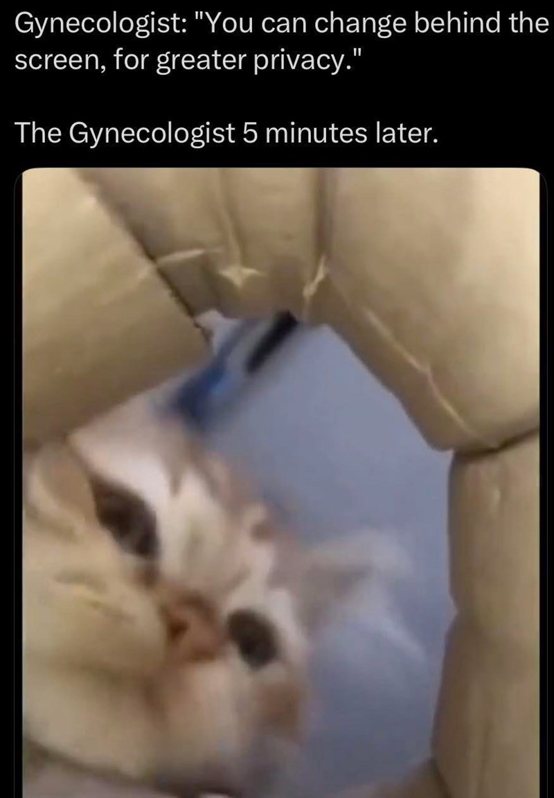 Gynecologist: "You can change behind the screen, for greater privacy." The Gynecologist 5 minutes later.