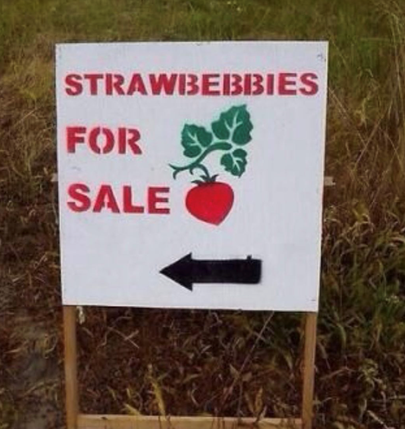 STRAWBEBBIES FOR SALE