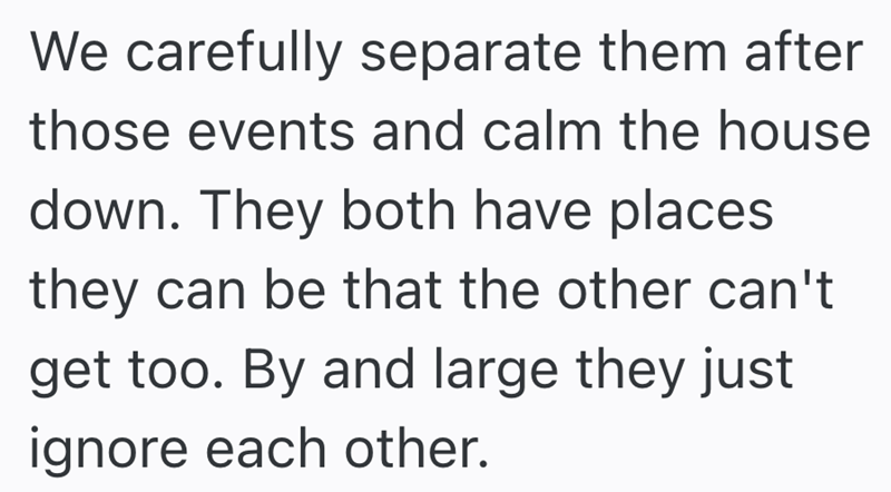 We carefully separate them after those events and calm the house down. They both have places they can be that the other can't get too. By and large they just ignore each other.