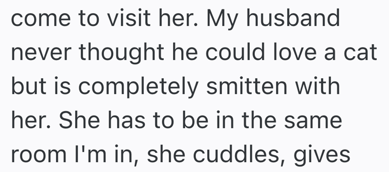 come to visit her. My husband never thought he could love a cat but is completely smitten with her. She has to be in the same room I'm in, she cuddles, gives