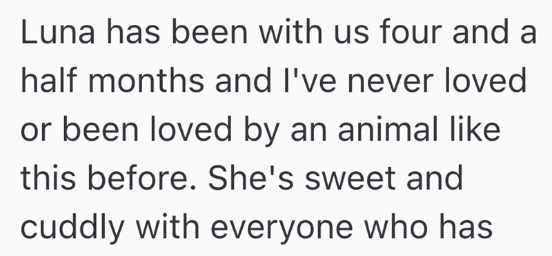 Luna has been with us four and a half months and I've never loved or been loved by an animal like this before. She's sweet and cuddly with everyone who has