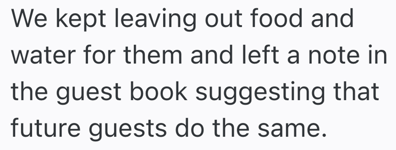 We kept leaving out food and water for them and left a note in the guest book suggesting that future guests do the same.