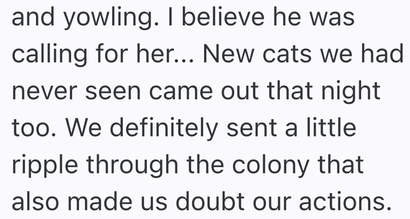 and yowling. I believe he was calling for her... New cats we had never seen came out that night too. We definitely sent a little ripple through the colony that also made us doubt our actions.