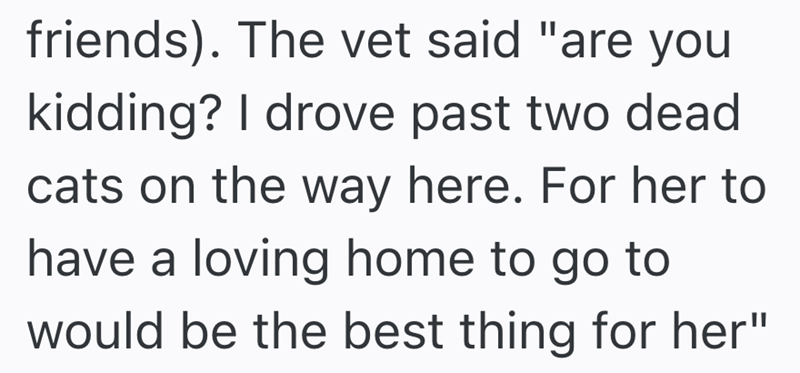 friends). The vet said "are you kidding? I drove past two dead cats on the way here. For her to have a loving home to go to would be the best thing for her"