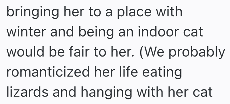 bringing her to a place with winter and being an indoor cat would be fair to her. (We probably romanticized her life eating lizards and hanging with her cat
