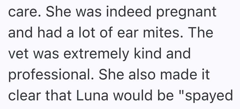 care. She was indeed pregnant and had a lot of ear mites. The vet was extremely kind and professional. She also made it clear that Luna would be "spayed