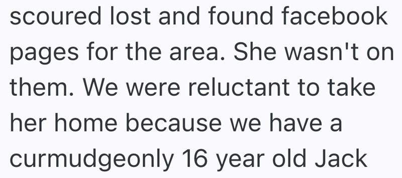 scoured lost and found facebook pages for the area. She wasn't on them. We were reluctant to take her home because we have a curmudgeonly 16 year old Jack