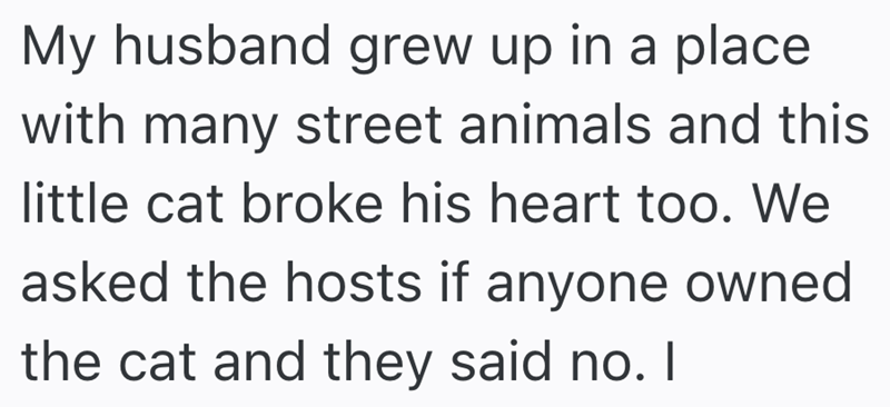 My husband grew up in a place with many street animals and this little cat broke his heart too. We asked the hosts if anyone owned the cat and they said no. I