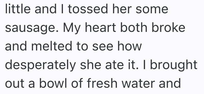 little and I tossed her some sausage. My heart both broke and melted to see how desperately she ate it. I brought out a bowl of fresh water and