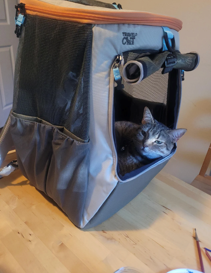 TRAVELS CAT