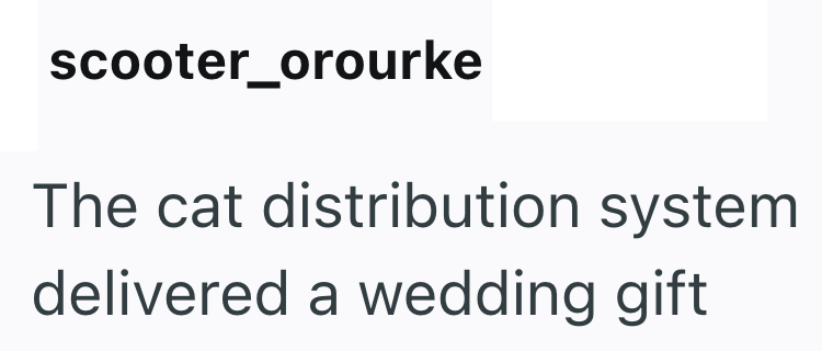 scooter_orourke The cat distribution system delivered a wedding gift