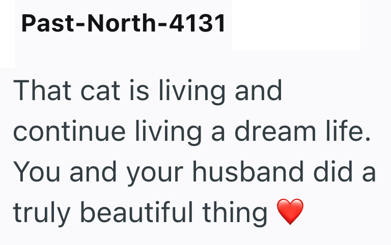 Past-North-4131 That cat is living and continue living a dream life. You and your husband did a truly beautiful thing