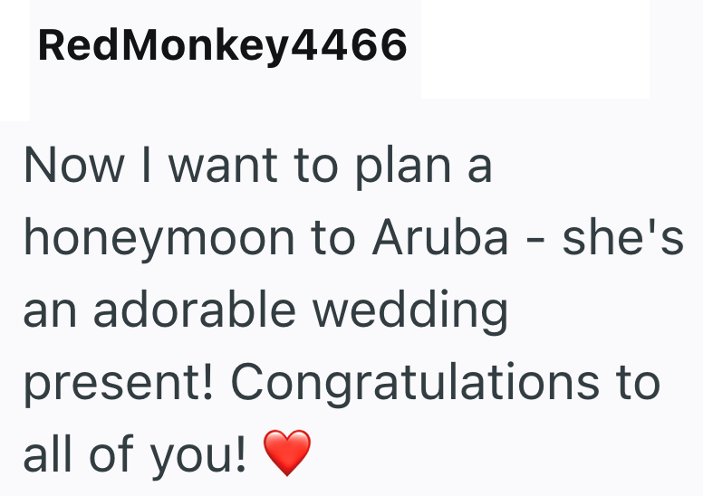 RedMonkey4466 Now I want to plan a honeymoon to Aruba - she's an adorable wedding present! Congratulations to all of you!
