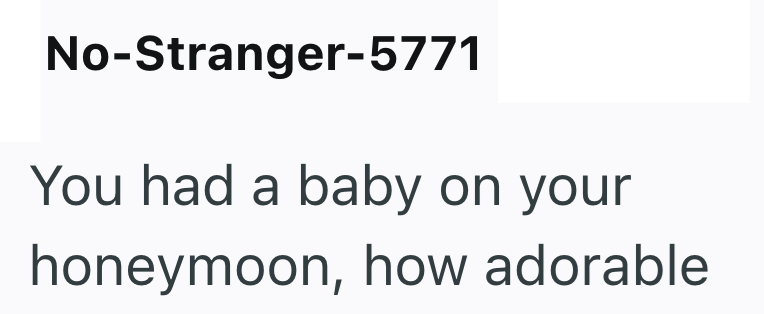 No-Stranger-5771 You had a baby on your honeymoon, how adorable