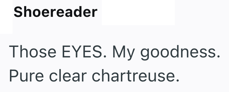 Shoereader Those EYES. My goodness. Pure clear chartreuse.