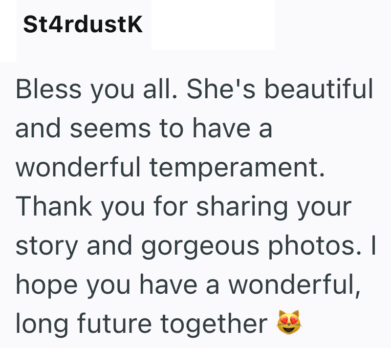 St4rdustK Bless you all. She's beautiful and seems to have a wonderful temperament. Thank you for sharing your story and gorgeous photos. I hope you have a wonderful, long future together