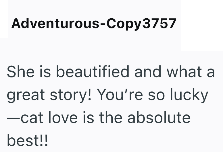 Adventurous-Copy3757 She is beautified and what a great story! You're so lucky ―cat love is the absolute best!!