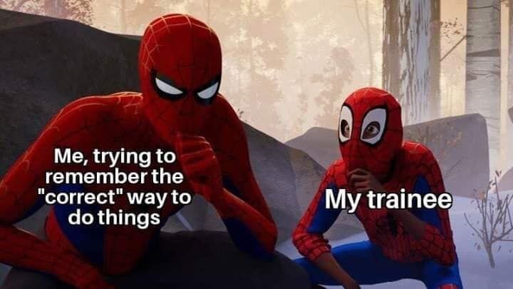 Me, trying to remember the "correct" way to do things My trainee