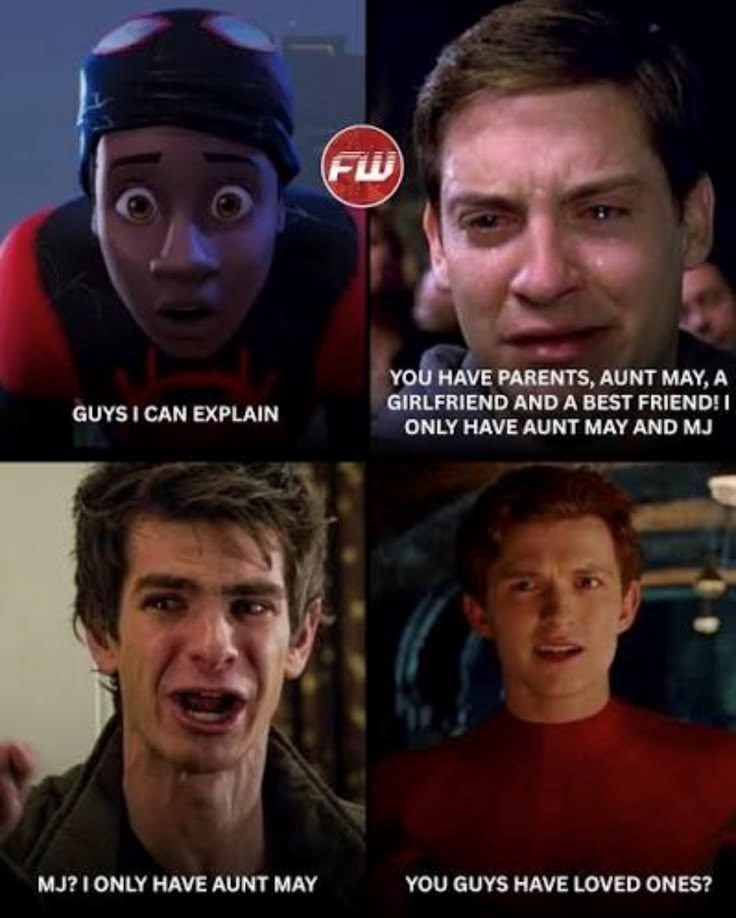 GUYS I CAN EXPLAIN FW YOU HAVE PARENTS, AUNT MAY, A GIRLFRIEND AND A BEST FRIEND! I ONLY HAVE AUNT MAY AND MJ MJ? I ONLY HAVE AUNT MAY YOU GUYS HAVE LOVED ONES?