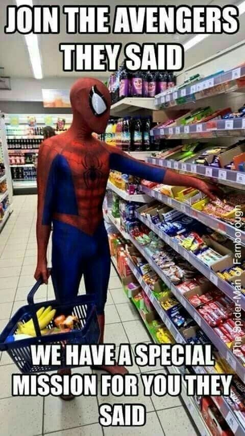 JOIN THE AVENGERS THEY SAID WE HAVE A SPECIAL MISSION FOR YOU THEY SAID The Spider-Man of Farnborough