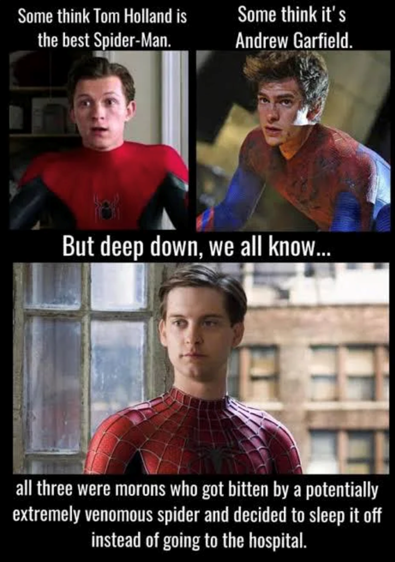 Some think Tom Holland is Some think it's the best Spider-Man. Andrew Garfield. But deep down, we all know... all three were morons who got bitten by a potentially extremely venomous spider and decided to sleep it off instead of going to the hospital.