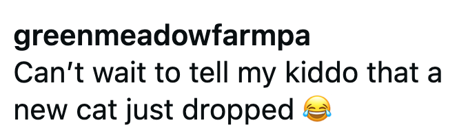greenmeadowfarmpa Can't wait to tell my kiddo that a new cat just dropped