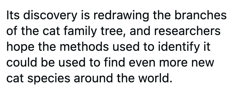 Its discovery is redrawing the branches of the cat family tree, and researchers hope the methods used to identify it could be used to find even more new cat species around the world.