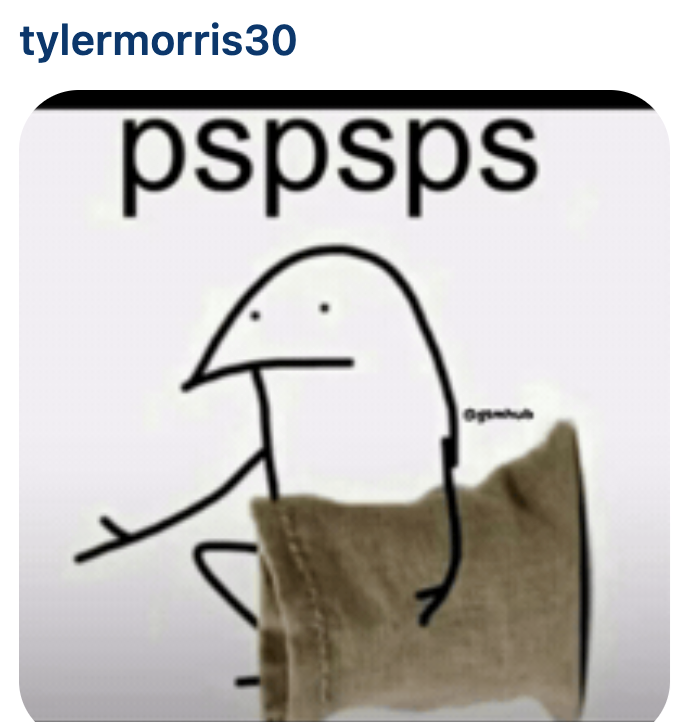 tylermorris30 pspsps Ognu