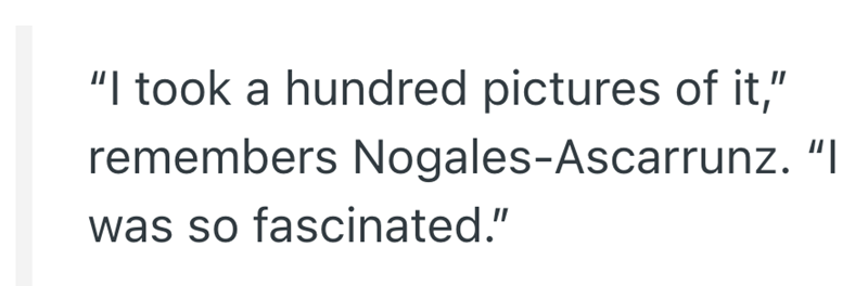 "I took a hundred pictures of it," remembers Nogales-Ascarrunz. "I was so fascinated."