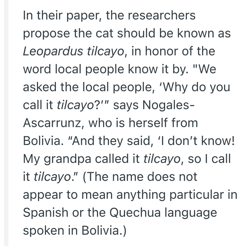 In their paper, the researchers propose the cat should be known as Leopardus tilcayo, in honor of the word local people know it by. "We asked the local people, 'Why do you call it tilcayo?"" says Nogales- Ascarrunz, who is herself from Bolivia. "And they said, 'I don't know! My grandpa called it tilcayo, so I call it tilcayo." (The name does not appear to mean anything particular in Spanish or the Quechua language spoken in Bolivia.)