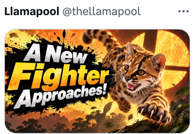 Llamapool @thellamapool A New Fighter Approaches!