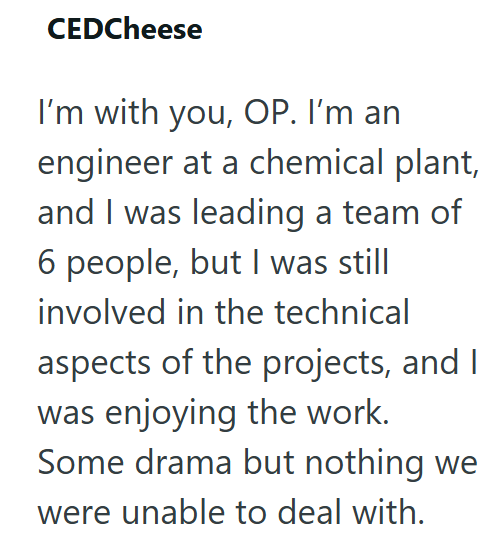 CEDCheese I'm with you, OP. I'm an engineer at a chemical plant, and I was leading a team of 6 people, but I was still involved in the technical aspects of the projects, and I was enjoying the work. Some drama but nothing we were unable to deal with.