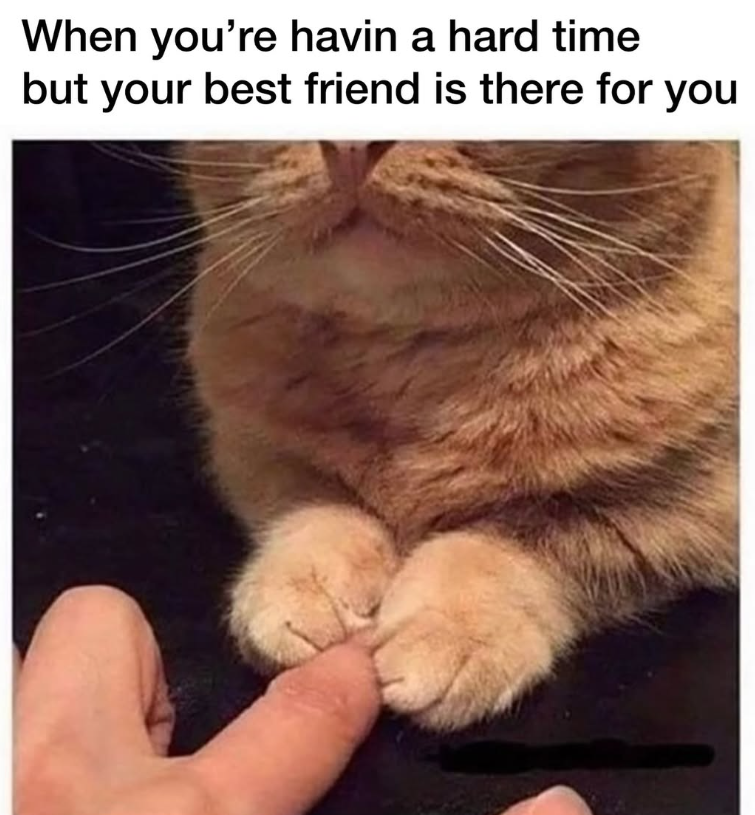 When you're havin a hard time but your best friend is there for you