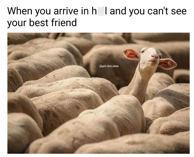 When you arrive in hell and you can't see your best friend @girls.facts.stories